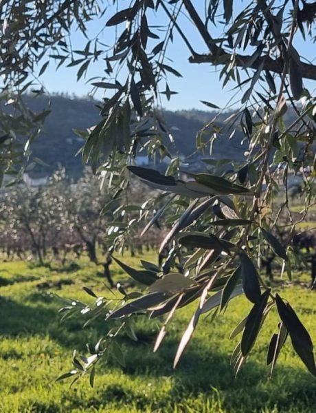 Produtos de alta qualidade em edição limitada, feitos à mão com muito carinho. Sustentáveis e justos